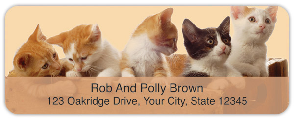 Precious Kittens Address Labels