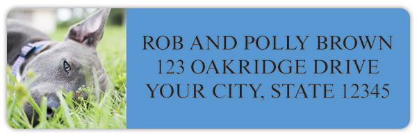 Pit Bull Address Labels
