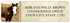 Horse Country Sheet Labels Image 2
