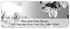 Dramatic Dogwood Address Labels Image 4