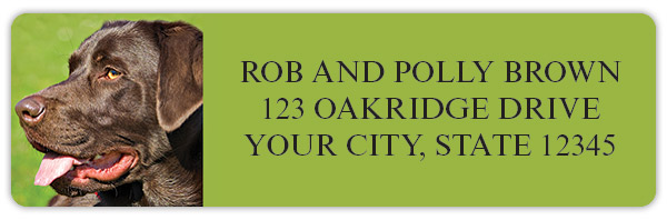 Labrador Address Labels