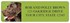 Labrador Address Labels Image 4