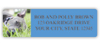 Pit Bull Address Labels